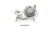 Помпа води Renault Kangoo/Megane/Clio 1.4/1.4i/1.4e 96- SKF VKPC 86216 (фото 1)