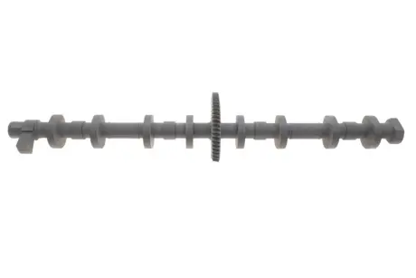 Вал ексцентриковий BMW 5 (F10) (N20) 12-16 Solgy 106005