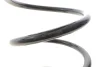 Пружина (передня) VW Passat B6/B7 1.4-1.8TSI/2.0FSI 05-14/Skoda SuperB 1.4TSI 08-15 Solgy 212142 (фото 3)