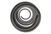 Пружина (задня) Renault Laguna III 1.5dCi/2.0dCi/1.6 16V/2.0 16V 07-15 Solgy 212143 (фото 4)