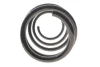 Пружина (передня) Renault Scenic III/Grand Scenic III 1.5dCi/1.6dCi/1.9dCi/2.0 16V 09- Solgy 212151 (фото 3)