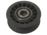 Натяжний ролик STARLINE RS B02510 (фото 1)