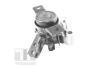 Подушка двигуна передн прав, гідравлічний TOYOTA RAV 4 III 2.4 11.05-12.13 Tedgum TED13922 (фото 1)