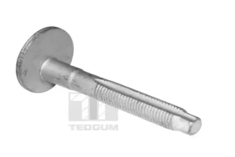 Болт розвалу з шестигранною головкою TEDGUM TED39597 (фото 1)