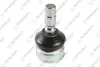 TEKNOROT FORD кульова опора Mustang 05- FO-635