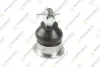 TEKNOROT HONDA кульова опора предн.верхн.M12x1.25 Accord VIII 08- H-365