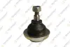 TEKNOROT DB кульова опора верхнього важеля W202/210 93- M-154