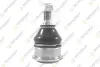 TEKNOROT RENAULT кульова опора лів./прав.Laguna,Safrane 92- R-605