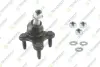 VW кульова опора (к-кт) права Golf,Passat,Skoda Octavia,Seat 05- TEKNOROT V-584K (фото 1)