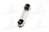 Лампа софітні C5W SV8,5-8 41mm 24V 5W &lt;&gt; TEMPEST 24V5W_C5W SV8,5-8 41 (фото 2)