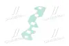 Прокладка колектора впускного DAEWOO LANOS 1.5, NEXIA 1.5, CHEVROLET AVEO TEMPEST TP.96183118 (фото 4)