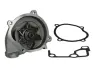 Насос охолоджуючої рідини, з ущільненням MAZDA 3, 323 F VI, 323 P V, 323 S V, 5, 6, 626 V, MPV II, PREMACY 1.4/2.0D 10.96-12.10 THERMOTEC D13028TT (фото 1)