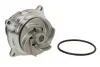 Насос охолоджуючої рідини, з ущільненням FORD COUGAR, FOCUS I, FOCUS I/KOMBI, MONDEO II, TOURNEO CONNECT, TRANSIT CONNECT HYUNDAI GETZ MAZDA TRIBUTE 1.4-2.0 08.96-12.13 THERMOTEC D1G002TT (фото 1)