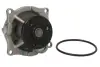 Насос охолоджуючої рідини, з ущільненням FORD COUGAR, FOCUS I, FOCUS I/KOMBI, MONDEO II, TOURNEO CONNECT, TRANSIT CONNECT HYUNDAI GETZ MAZDA TRIBUTE 1.4-2.0 08.96-12.13 THERMOTEC D1G002TT (фото 2)