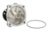 Насос охолоджуючої рідини, з ущільненням ALFA ROMEO 155, 164, 33 CHRYSLER GRAND VOYAGER III, VOYAGER II, VOYAGER III, VOYAGER IV FORD SCORPIO II JEEP CHEROKEE 1.8D-3.1D 01.90-02.08 THERMOTEC D1G042TT (фото 1)