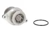 Насос охолоджуючої рідини, з ущільненням AUDI A2 SEAT LEON VW BORA, BORA I, GOLF IV, LUPO I, POLO, POLO III 1.6 09.98-06.06 THERMOTEC D1W044TT (фото 1)