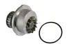 Насос охолоджуючої рідини, з ущільненням OPEL ASCONA B, ASCONA C, CORSA A, CORSA A TR, CORSA A/HATCHBACK, KADETT D, KADETT E, KADETT E COMBO, KADETT E/KOMBI, MANTA B 1.3 03.79-02.93 THERMOTEC D1X009TT (фото 1)