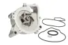 Насос охолоджуючої рідини ALFA ROMEO 159, BRERA, SPIDER CHEVROLET CAPTIVA, CORSA, EQUINOX, HHR FIAT CROMA OPEL ANTARA A, ASTRA G, GT, INSIGNIA A, INSIGNIA B 1.0ALK-2.4 08.99- THERMOTEC D1X052TT (фото 1)