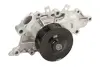 Насос охолоджуючої рідини JEEP GRAND CHEROKEE II 2.7D 10.01-09.05 THERMOTEC D1Y078TT (фото 2)