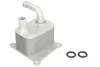 Масляний радіатор FORD FOCUS I, FOCUS I/KOMBI, GALAXY II, MONDEO IV, S-MAX, TOURNEO CONNECT, TRANSIT CONNECT 1.8D 08.98-06.15 THERMOTEC D4G011TT (фото 1)