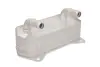 Масляний радіатор AUDI A3, TT SEAT ALHAMBRA, ALTEA, ALTEA XL, LEON, LEON/HATCHBACK, TOLEDO III SKODA OCTAVIA II, OCTAVIA III, SUPERB II, YETI VW ARTEON SHOOTING BRAKE, BEETLE 1.2-3.6 09.96- THERMOTEC D4W007TT (фото 1)
