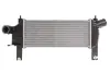 Інтеркулер NISSAN NAVARA NP300, PATHFINDER III 2.5D 01.05- THERMOTEC DA1001TT (фото 1)