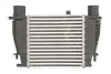 Інтеркулер NISSAN JUKE, TIIDA RENAULT CLIO III, MODUS 1.2/1.5D/1.6 09.04- THERMOTEC DA1003TT (фото 1)