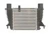 Інтеркулер NISSAN JUKE, TIIDA RENAULT CLIO III, MODUS 1.2/1.5D/1.6 09.04- THERMOTEC DA1003TT (фото 2)