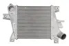 Інтеркулер NISSAN X-TRAIL I 2.2D 06.01-01.13 THERMOTEC DA1011TT (фото 1)