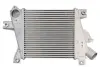 Інтеркулер NISSAN X-TRAIL I 2.2D 06.01-01.13 THERMOTEC DA1012TT (фото 1)