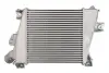 Інтеркулер NISSAN X-TRAIL I 2.2D 06.01-01.13 THERMOTEC DA1012TT (фото 2)