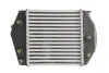 Інтеркулер MAZDA 6, MPV II 2.0D 06.02-08.07 THERMOTEC DA3002TT (фото 2)