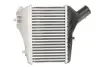 Інтеркулер HONDA CR-V IV 1.6D 10.13- THERMOTEC DA4004TT (фото 2)