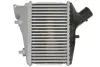 Інтеркулер HONDA CR-V III 2.2D 01.07- THERMOTEC DA4005TT (фото 2)