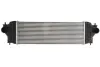 Інтеркулер SUZUKI GRAND VITARA II 1.9D 10.05-02.15 THERMOTEC DA8001TT (фото 1)