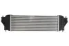 Інтеркулер SUZUKI GRAND VITARA II 1.9D 10.05-02.15 THERMOTEC DA8001TT (фото 2)