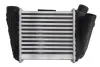 Інтеркулер (права сторона) AUDI A4 B6, A4 B7 2.5D 11.00-05.06 THERMOTEC DAA002TT (фото 1)