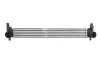 Інтеркулер AUDI A1 SEAT IBIZA IV, IBIZA IV SC, IBIZA IV ST, TOLEDO IV SKODA FABIA II, RAPID, ROOMSTER, ROOMSTER PRAKTIK VW POLO V 1.2D-1.9D 03.08-12.19 THERMOTEC DAA005TT (фото 2)