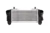 Інтеркулер AUDI A2, A4 B6 1.2D/1.4D/1.8 02.00-10.05 THERMOTEC DAA007TT (фото 1)