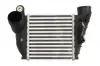 Інтеркулер AUDI A3 SEAT LEON, TOLEDO II SKODA OCTAVIA I VW BORA, BORA I, GOLF IV 1.6/1.8/1.9D 09.96-12.10 THERMOTEC DAA008TT (фото 1)