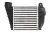 Інтеркулер AUDI A3 SEAT LEON, TOLEDO II SKODA OCTAVIA I VW BORA, BORA I, GOLF IV 1.6/1.8/1.9D 09.96-12.10 THERMOTEC DAA008TT (фото 2)
