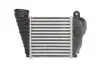 Інтеркулер AUDI A3 SEAT LEON SKODA OCTAVIA I VW GOLF IV 1.9D 08.00-12.10 THERMOTEC DAA009TT (фото 2)