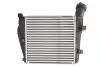 Інтеркулер (лів) AUDI Q7 PORSCHE CAYENNE VW TOUAREG 2.5D-5.0D 09.02- THERMOTEC DAA014TT (фото 2)