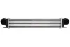 Інтеркулер BMW 5 (E39), 7 (E38) 2.0D-3.9D 08.98-05.04 THERMOTEC DAB006TT (фото 1)