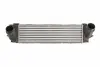 Інтеркулер BMW X3 (F25), X4 (F26) 1.6/2.0/2.0D 09.10-03.18 THERMOTEC DAB015TT (фото 1)