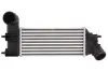 Інтеркулер CITROEN C5 I, C5 II, C5 I/KOMBI PEUGEOT 406, 607 2.0D/2.2D 06.98-09.06 THERMOTEC DAC005TT (фото 1)