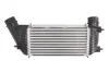 Інтеркулер CITROEN C8, JUMPY II FIAT SCUDO LANCIA PHEDRA PEUGEOT 807, EXPERT, EXPERT TEPEE TOYOTA PROACE 2.0D 02.06- THERMOTEC DAC006TT (фото 2)