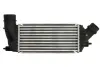 Інтеркулер CITROEN C8, JUMPY II FIAT SCUDO PEUGEOT 807, EXPERT, EXPERT TEPEE TOYOTA PROACE 2.0D 03.06- THERMOTEC DAC011TT (фото 1)