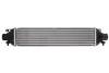 Інтеркулер ABARTH GRANDE PUNTO, PUNTO ALFA ROMEO GIULIETTA, MITO FIAT BRAVO II, DOBLO, DOBLO CARGO, GRANDE PUNTO, PUNTO, PUNTO EVO, PUNTO/HATCHBACK LANCIA DELTA III 0.9-2.0D 10.05- THERMOTEC DAD002TT (фото 1)