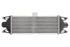 Інтеркулер IVECO DAILY III, DAILY IV, DAILY V 2.3D-3.0D 05.99-02.14 THERMOTEC DAE001TT (фото 2)